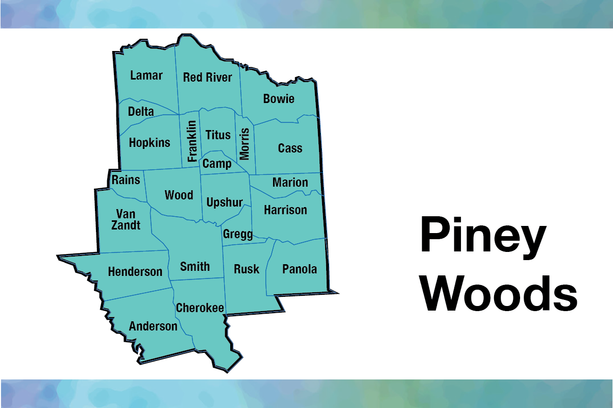 Piney woods map, as described in the news story.