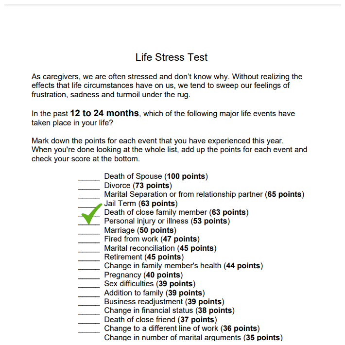 screenshot of the stress test PDF