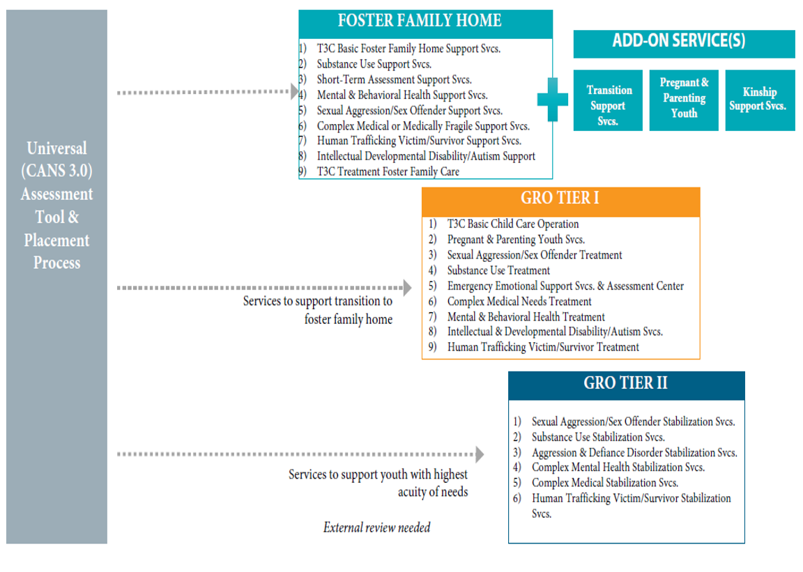 Foster Care Continuum and Service Array. See blueprint pdf